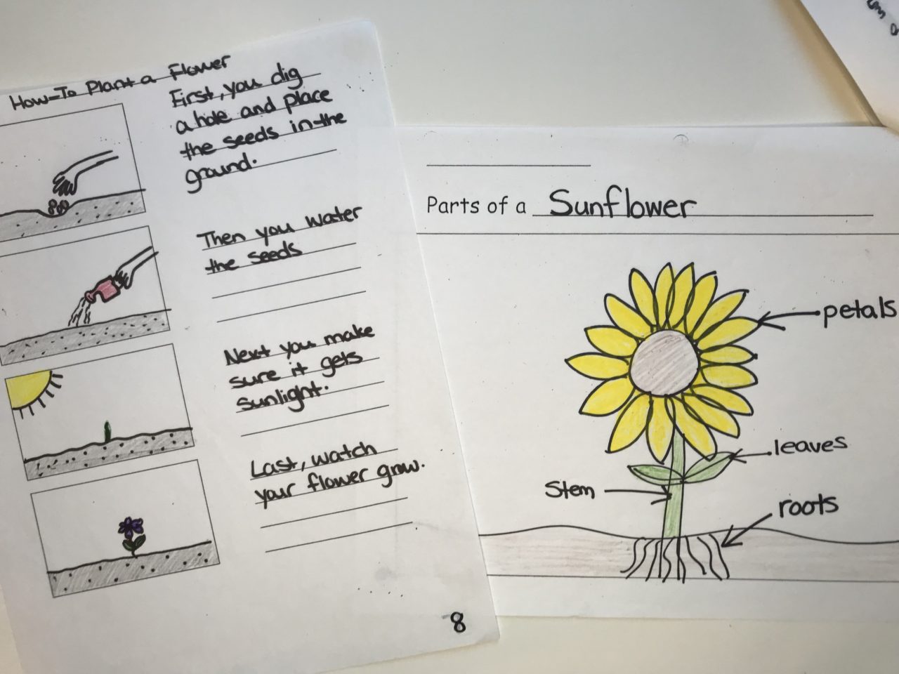 Types of Poems for Kids to Read and Write - Vibrant Teaching