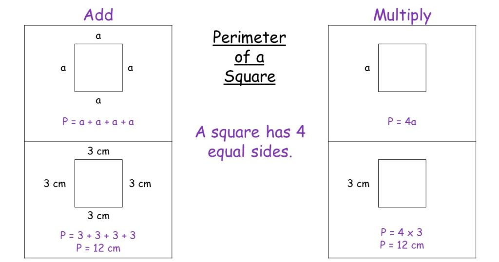 Perimeter Of A Rectangle Kids